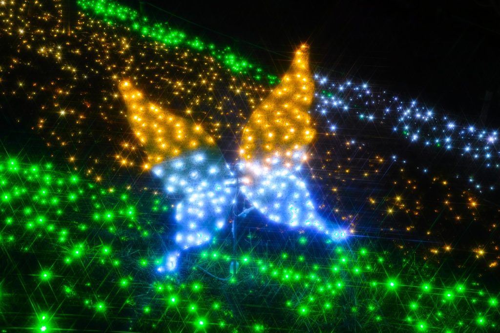 18最新情報 広島市植物公園のイルミネーションイベント内容やシャトルバス 開園時間のまとめ こどもといっしょ